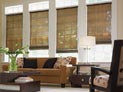 Roman solar shades with ribs for living room windows