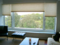 Honeycomb shades for living room windows in a Manhattan, NY apartment