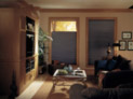 Hunter Douglas blackout honeycomb shades for living room windows